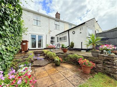 Picture 8